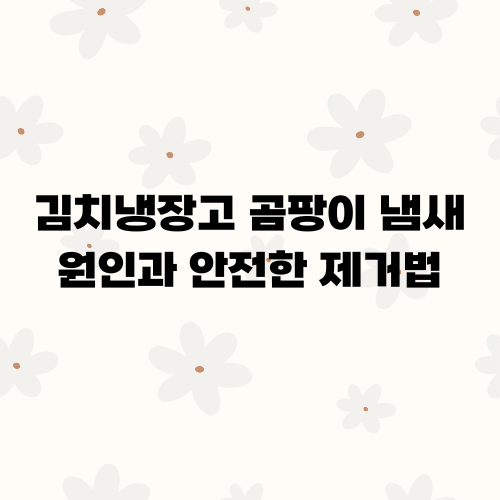김치냉장고 곰팡이 냄새 원인과 안전한 제거법