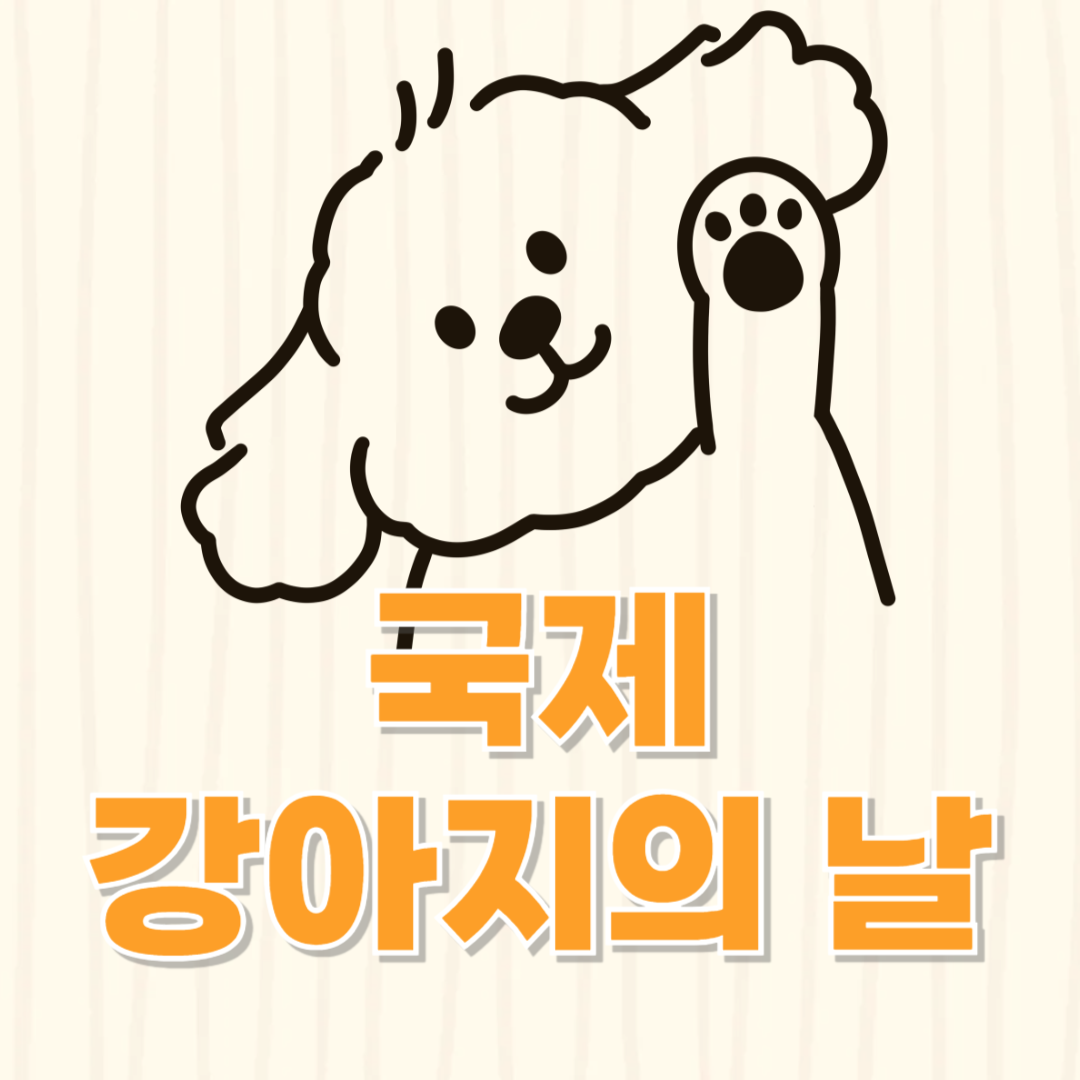 🐾 2025 국제 강아지의 날! 반려견을 위한 특별한 하루 & 건강 간식 추천 🎉