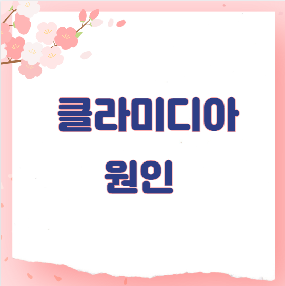 클라미디아 원인