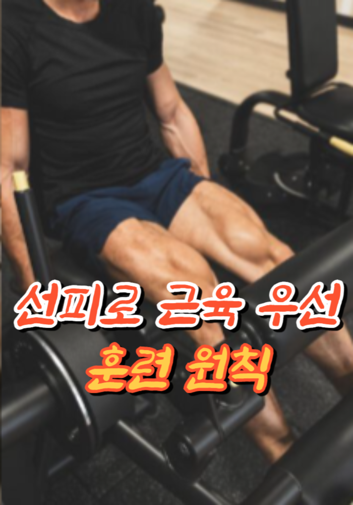 1.선피로 근육 우선 훈련 원칙