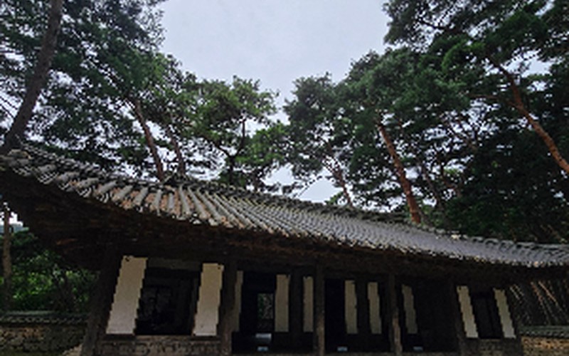 강원도 영월 당일치기 여행코스 추천: 청령포·장릉부터 한반도지형까지 실속