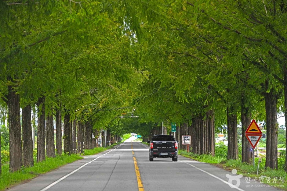 곡성 가볼만한곳 베스트10