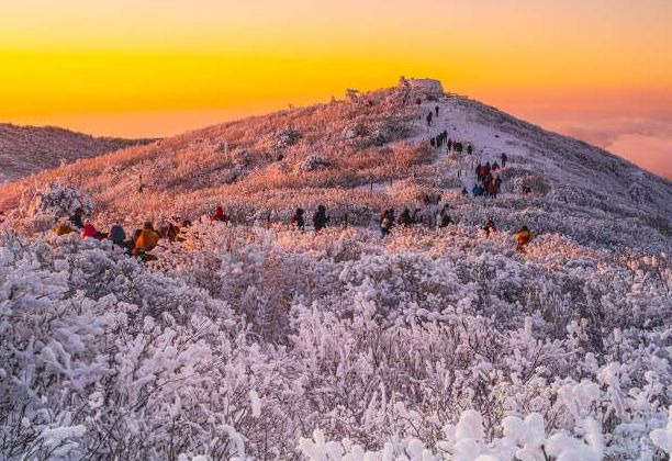 태백산