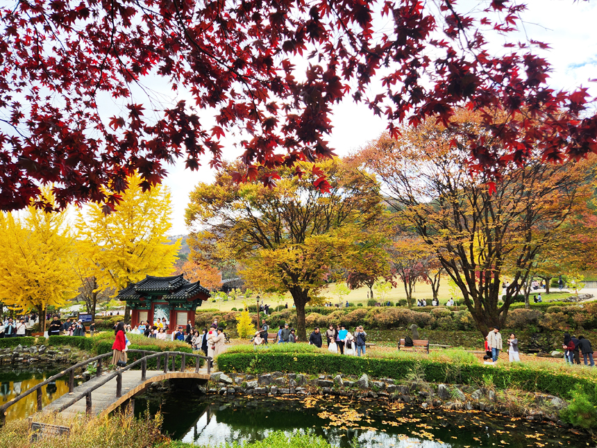 배론 성지 작은 연못과 돌다리