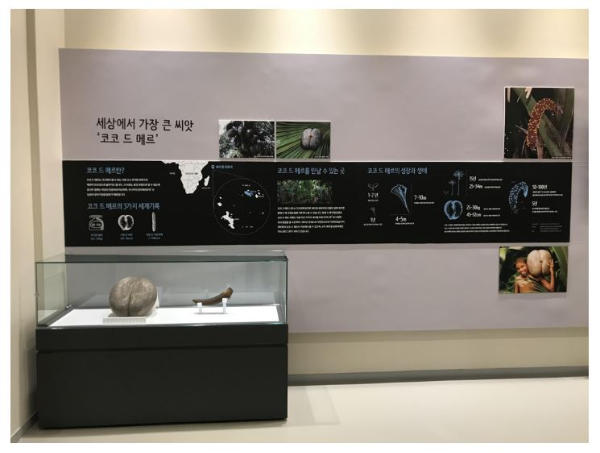 봉화 백두대간 수목원 상설전시관 모습