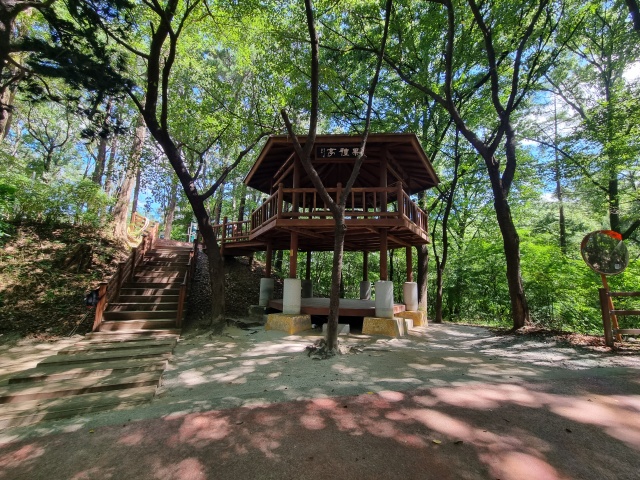 과례정-정자