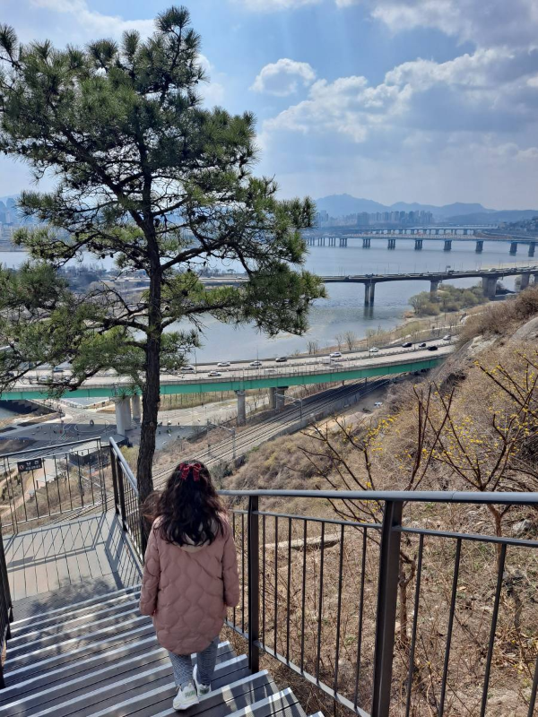응봉산 내려가는 계단