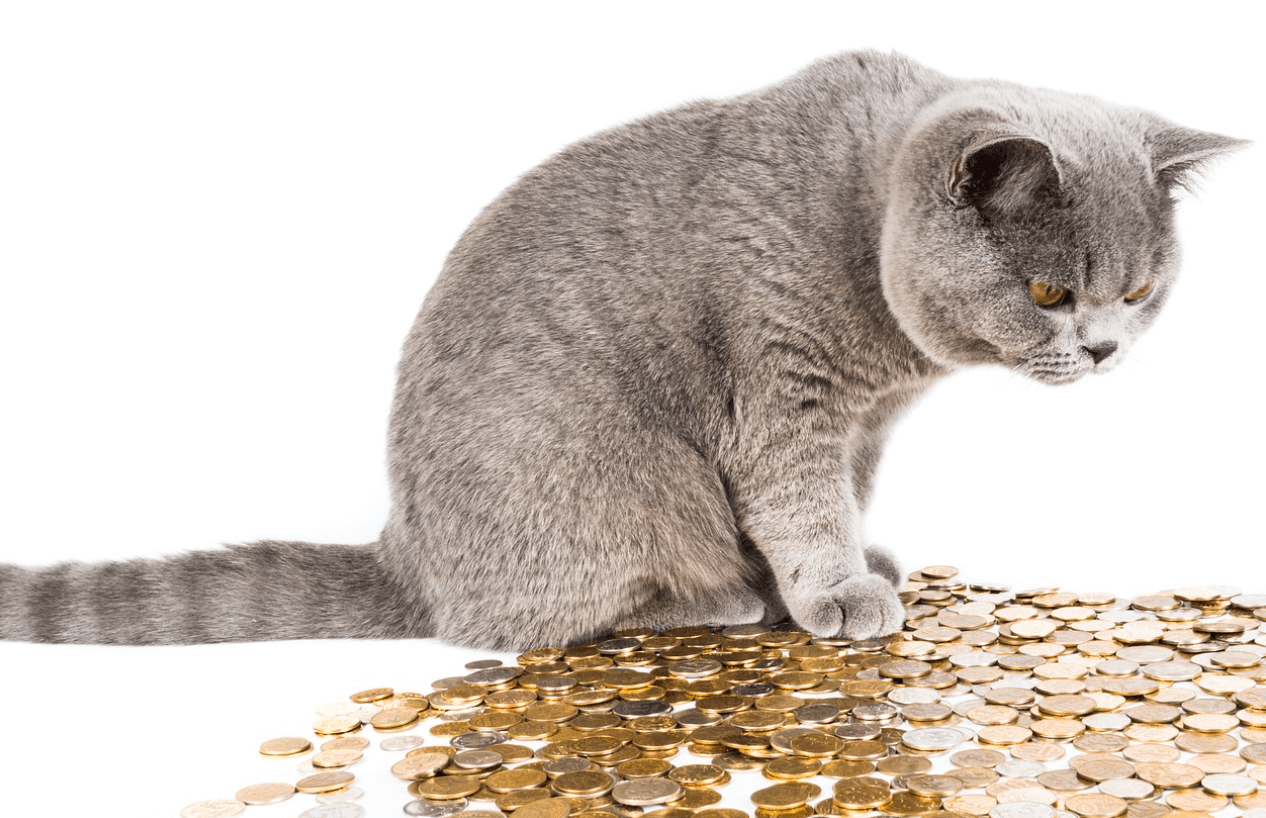 경기도 청년복지포인트