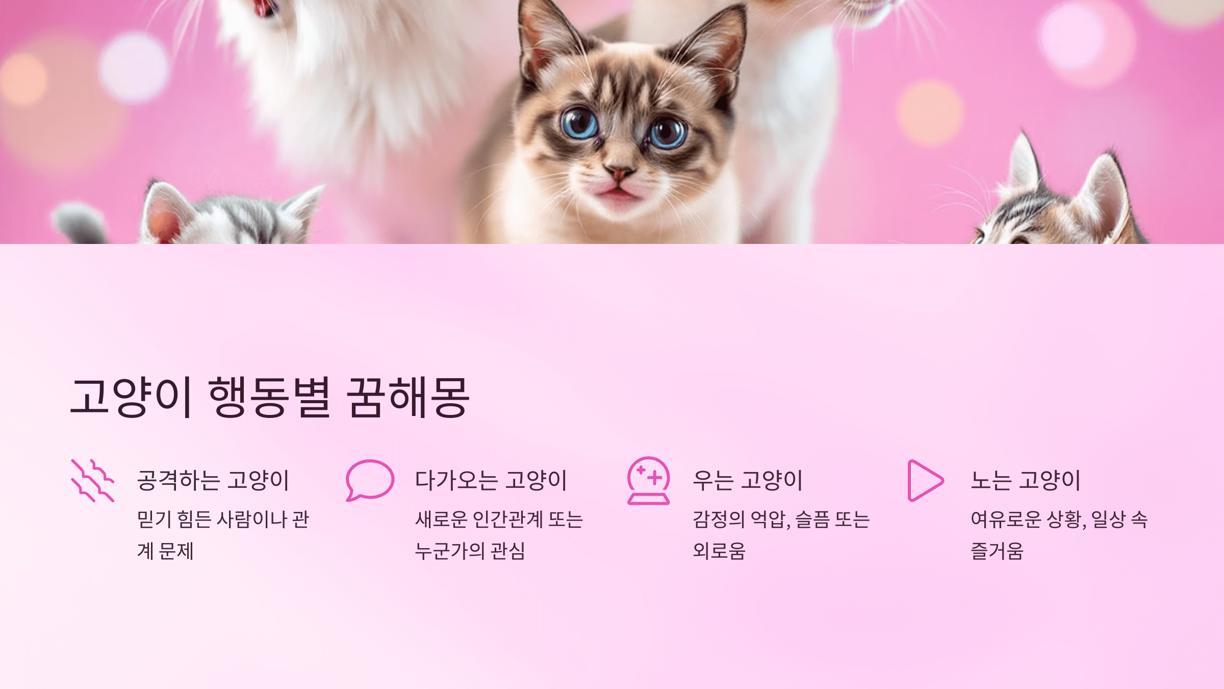 고양이 사진입니다.