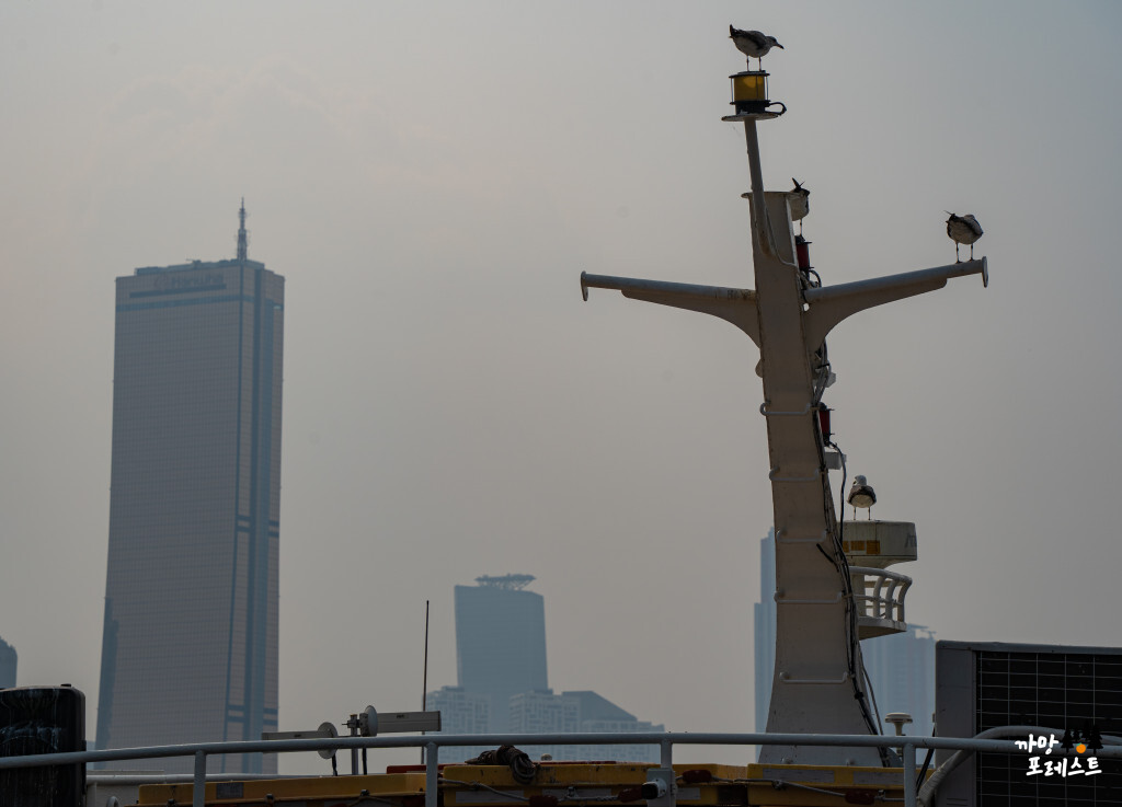 한강 유람선 이크루즈