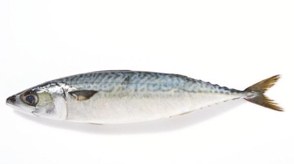 심장에 좋은 음식