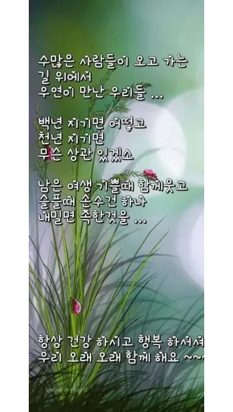 아침인사 이쁜글 다운로드_22