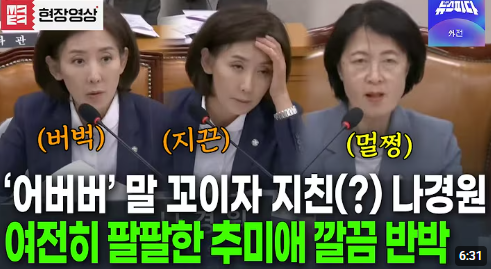 추미애 프로필 총정리