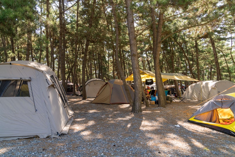태안군 몽산포오션캠핑장 소개