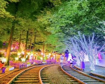 청도 프로방스 빛축제_5