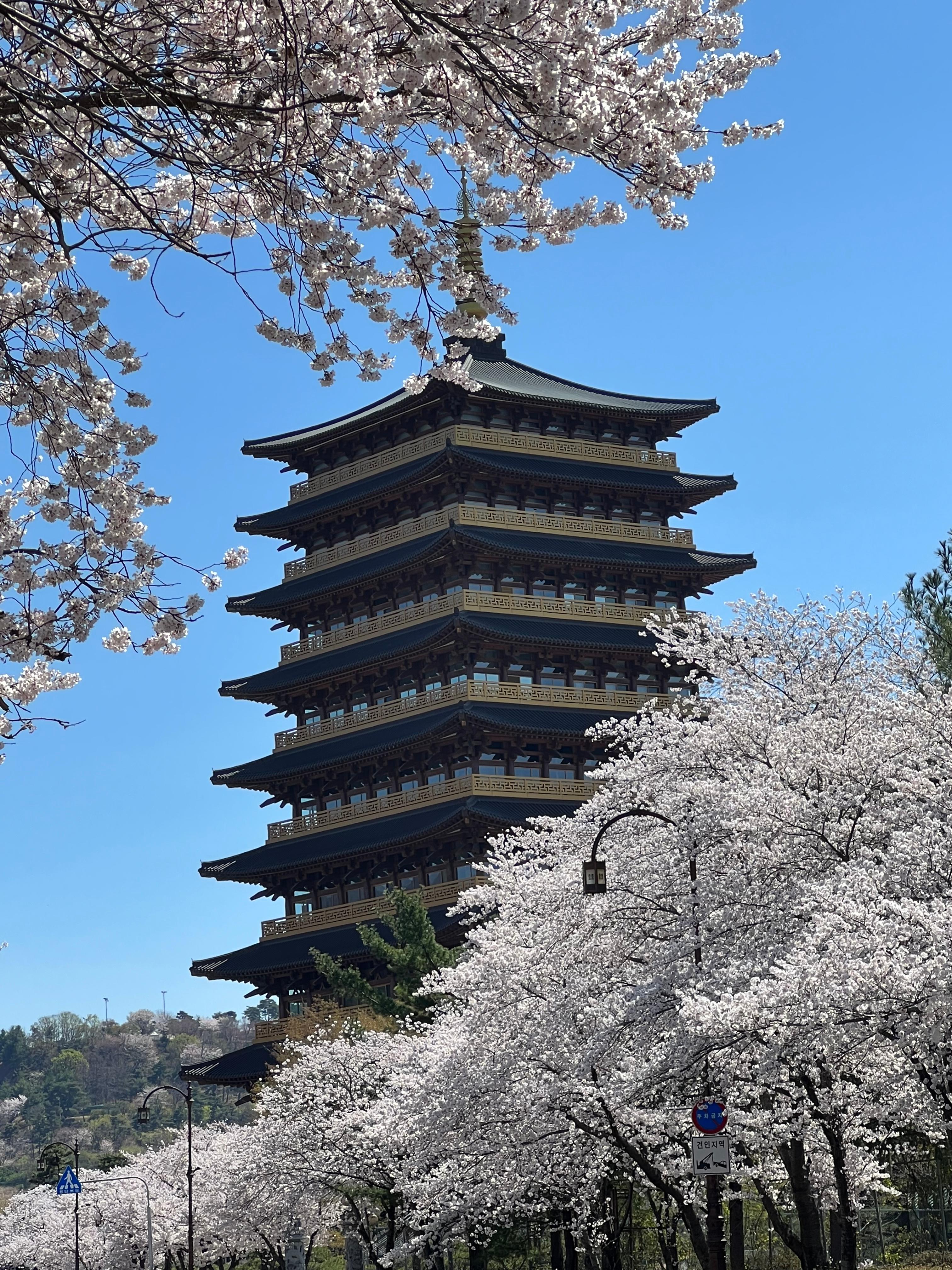 천년의 사랑이 머무는 곳: 경주 황리단길부터 야경 명소까지 완벽 데이트 코스