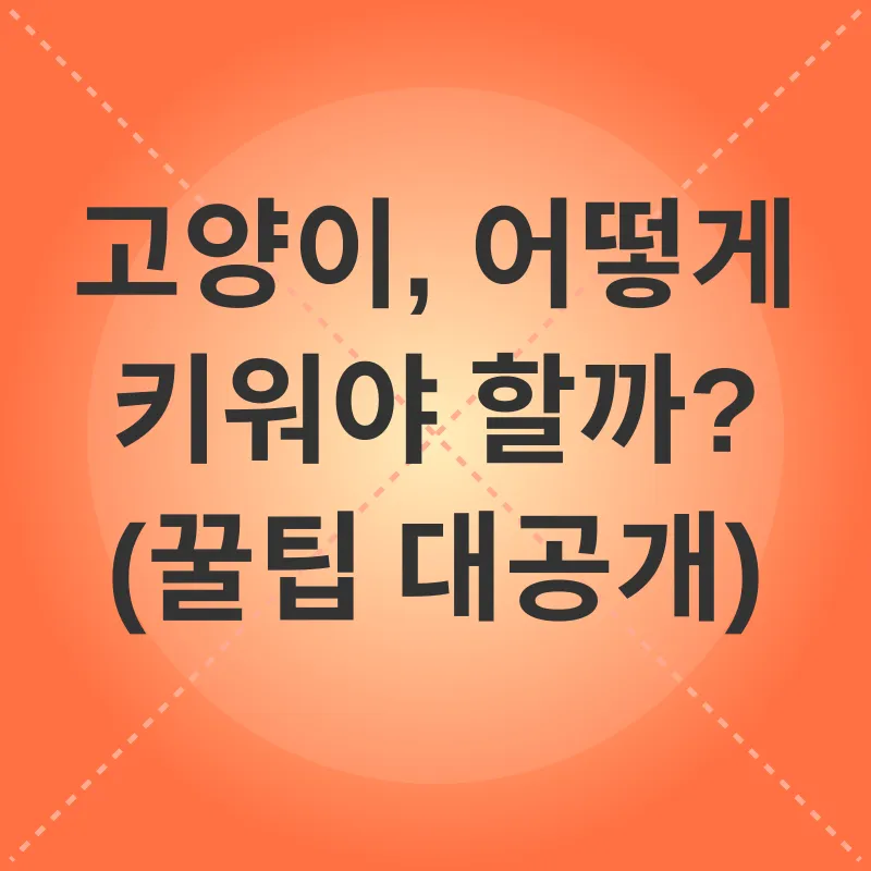 고양이 키우기_3
