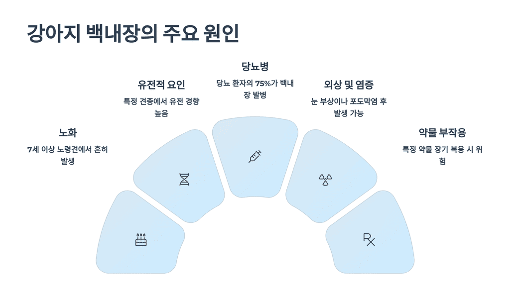 강아지 백내장의 주요 원인