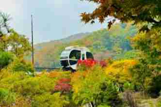 화담숲 모노레일 예약 3분 완벽 가이드