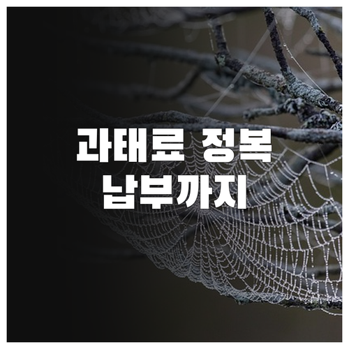 과태료 완벽 정복: 조회부터 납부까지..