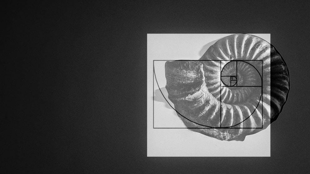 Apa itu Rasio Emas dan Bagaimana Mengetahuinya?