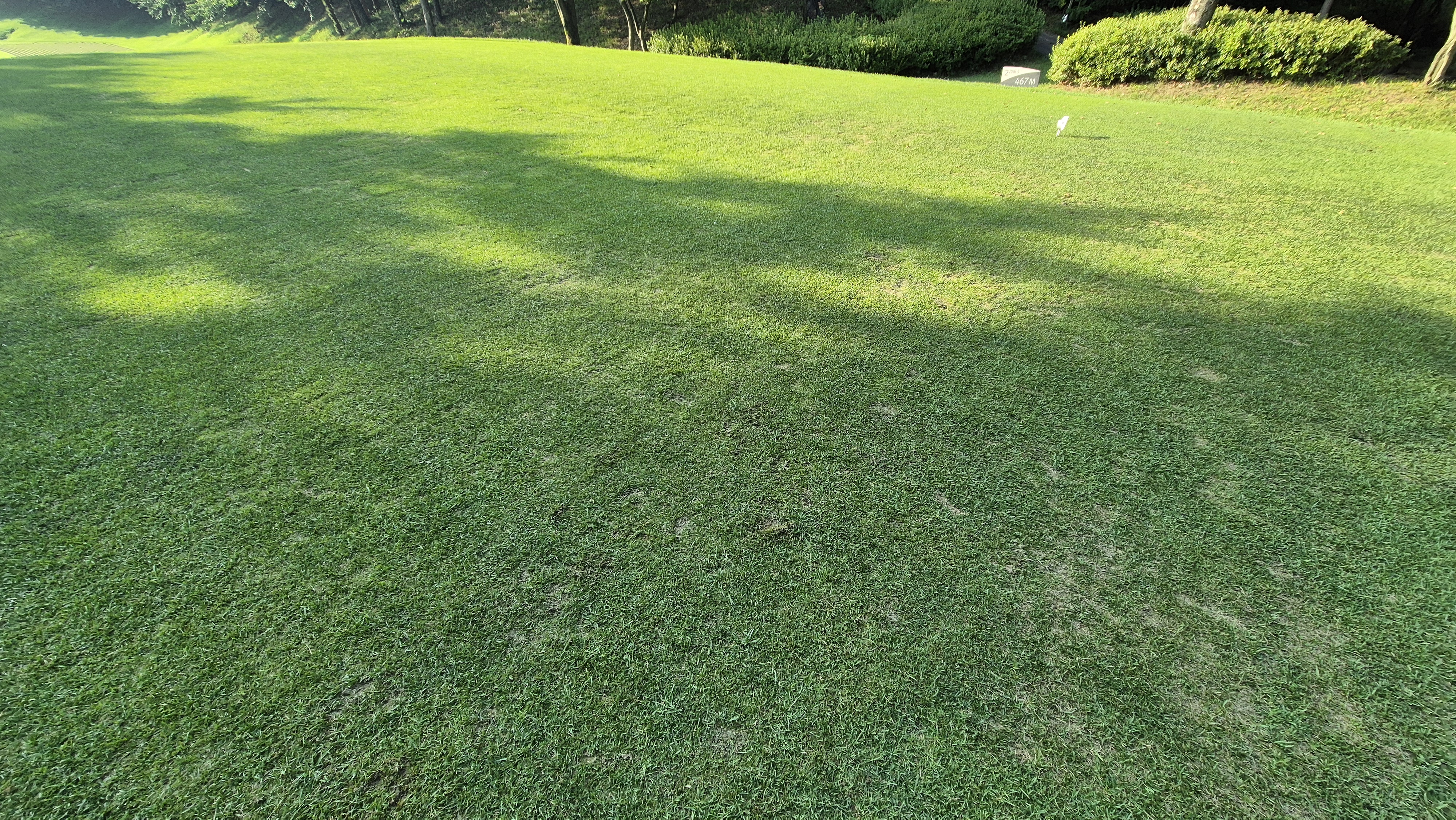 태광cc 북-서 코스 라운드 후기