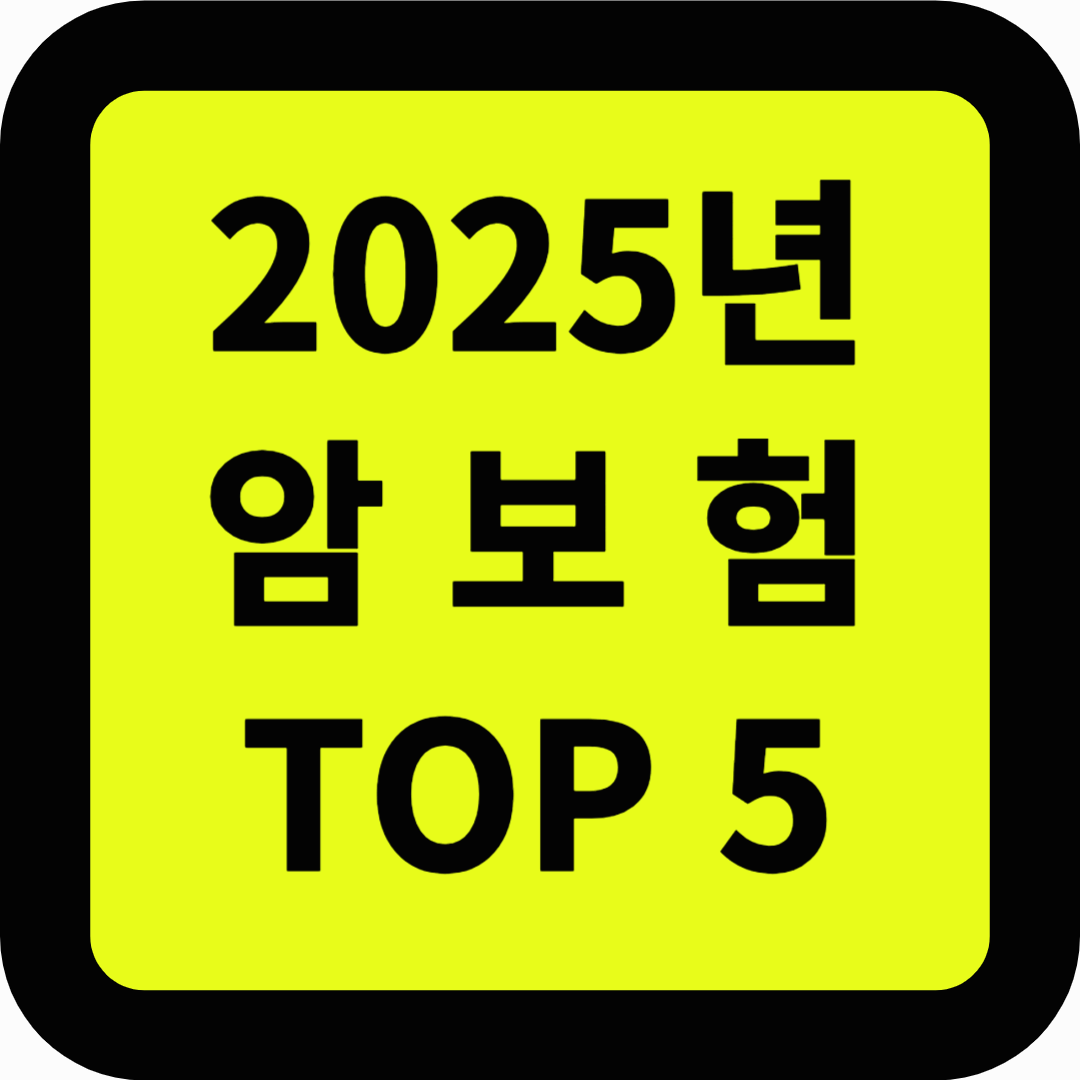 2025년 암보험 탑5