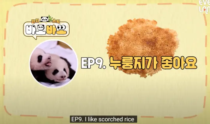 아기바이오-판다