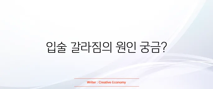 입술이 부르트는 이유