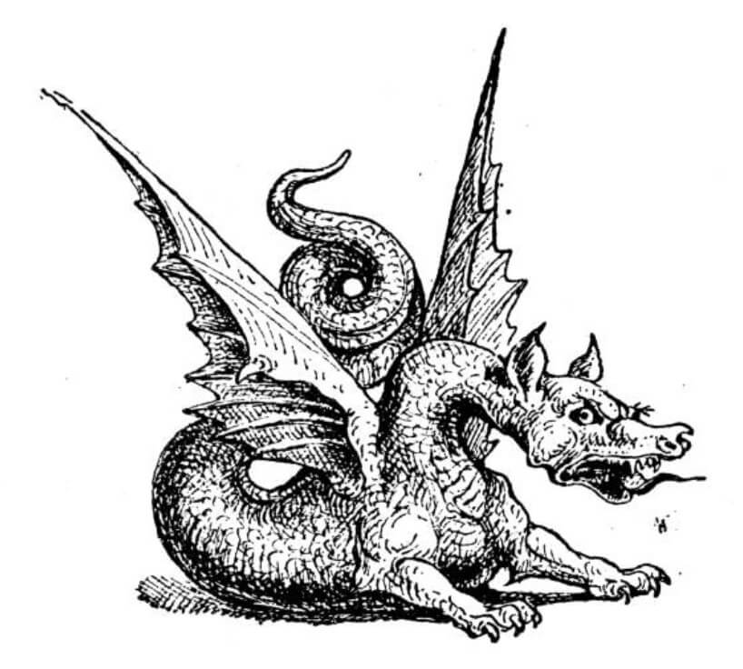 2024년 용띠 운세