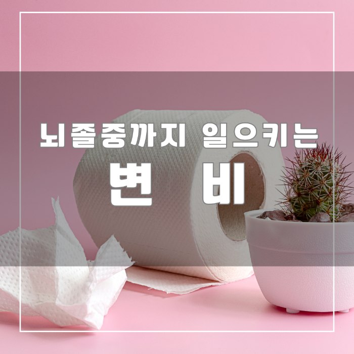 뇌졸중까지 일으키는 변비
