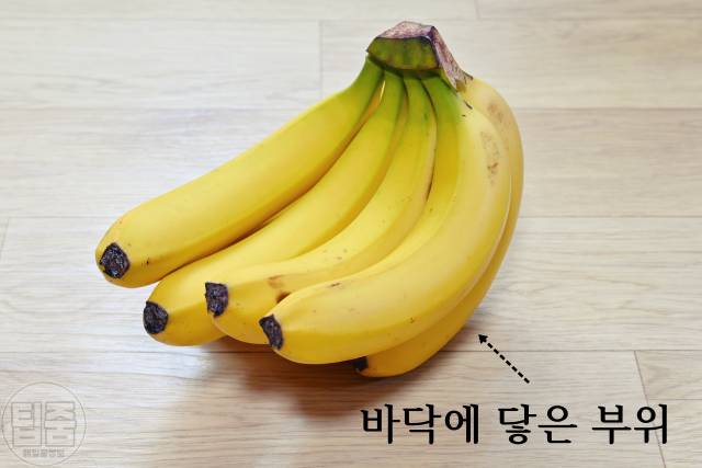바나나 보관법,바나나 멍,바나나스탠드