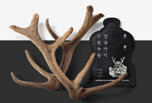 구전녹용 당금아기 당금깨비