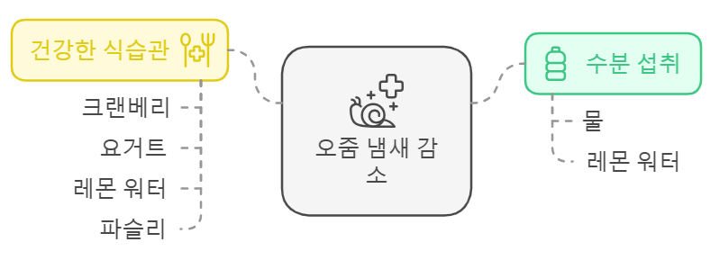 오줌 냄새 감소를 위한 음식