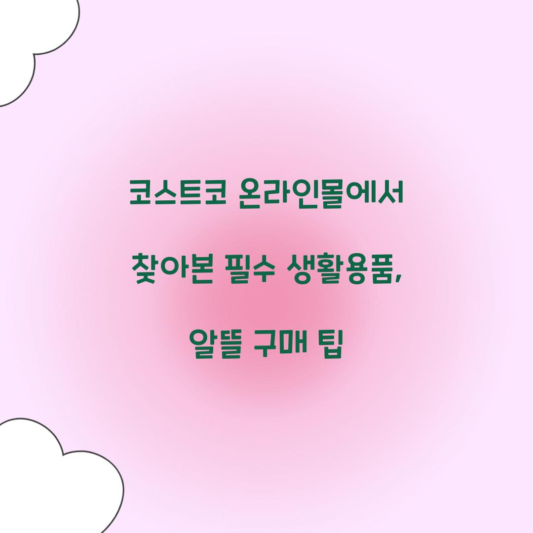코스트코 온라인몰