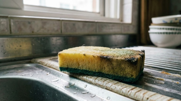 오래된 수세미 사진