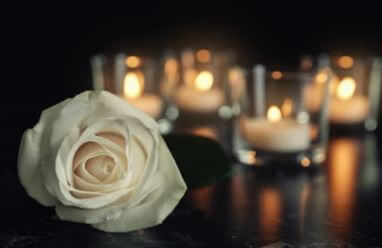 프리드라이프 상조