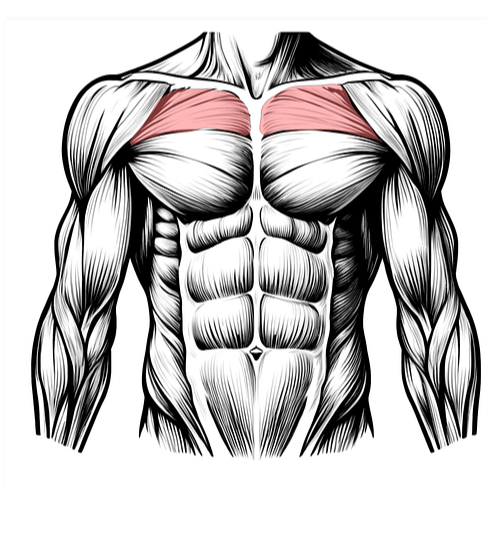 DNA검사, 내 몸에 맞은 운동 찾는 법 관련 이미지