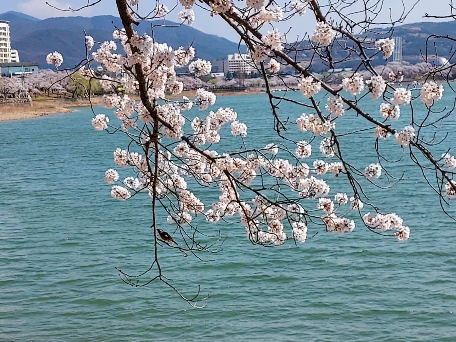 경주 보문호수