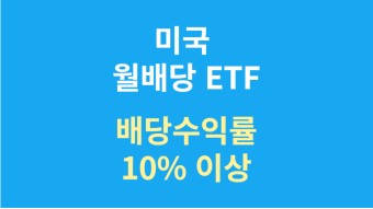 미국 배당주 투자