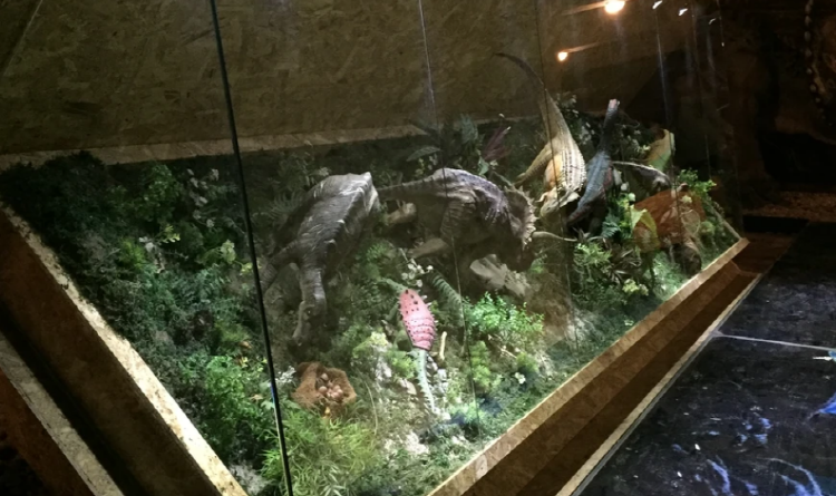 우석헌 자연사박물관