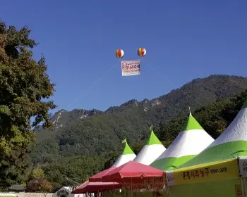 문경 사과축제_4