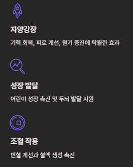 녹용 효능 부작용