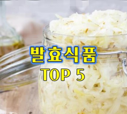 발효식품-top5
