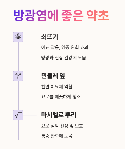 방광염에 좋은 약초 : 쇠뜨기, 민들레잎, 마시멜로 뿌리