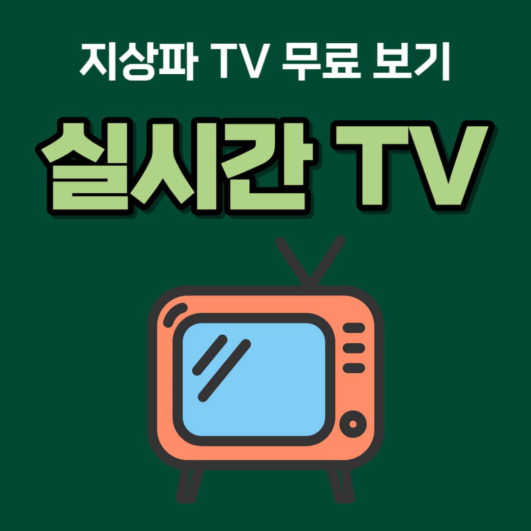 실시간TV무료보기