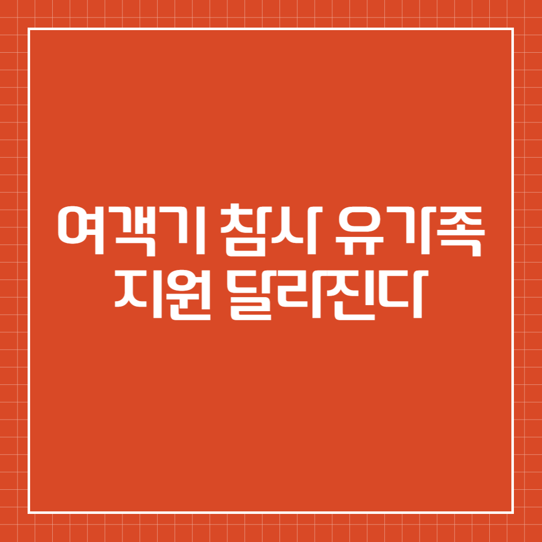 여객기 참사 유가족 지원 달라진다