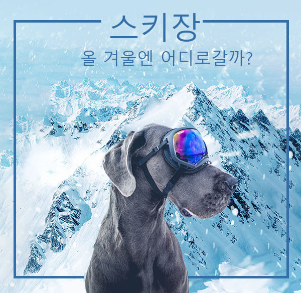 기본 기능