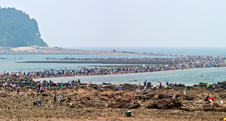 보령 모바일 스탬프 투어 참여 방법