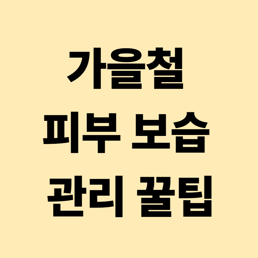 가을철 피부 보습 관리 꿀팁 총정리